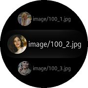 circleImage2