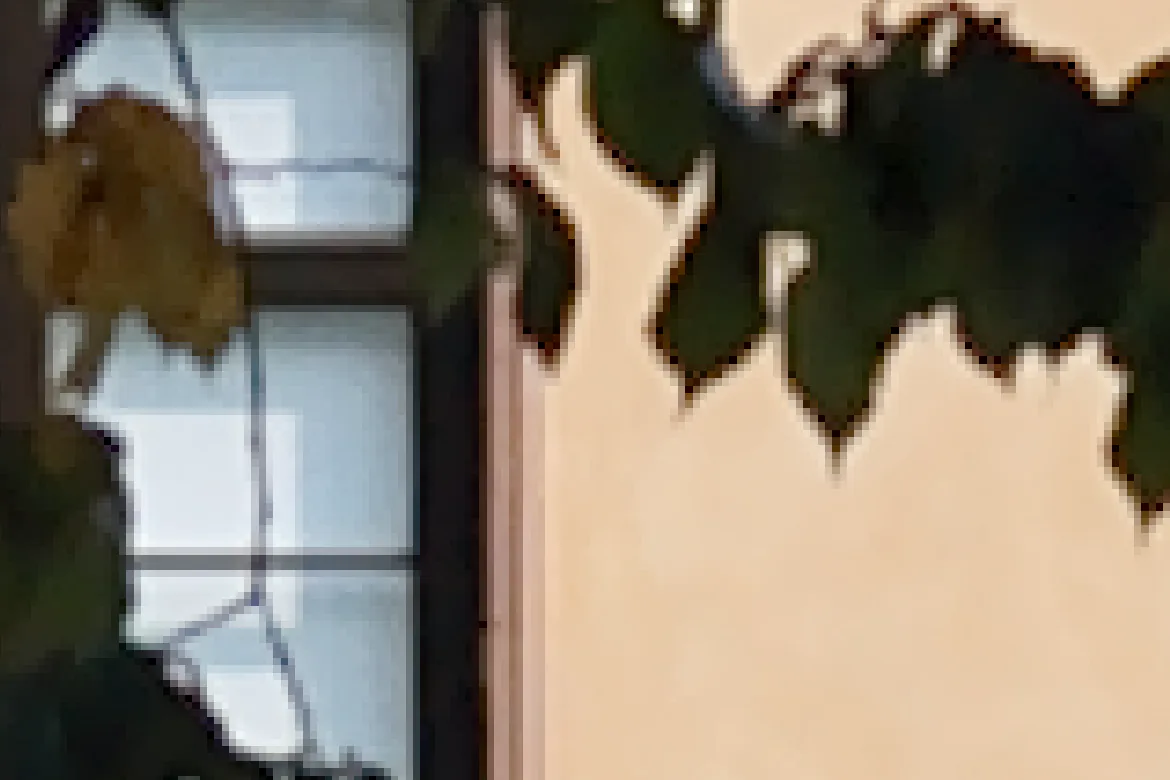 Leaves in front of the facade, after the bilateral denoiser: a dark rim outlines every leaf against the wall.