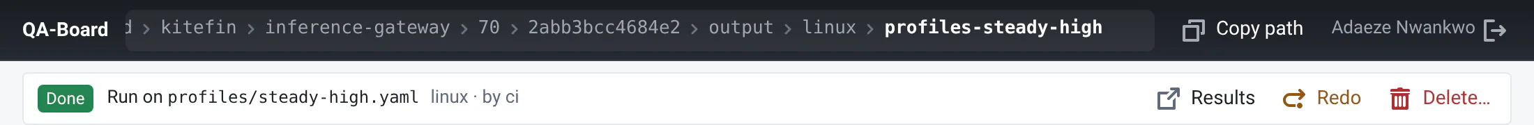 The run bar above a run's files: Done, run on profiles/steady-high.yaml on linux by ci, and the Results, Redo and Delete buttons.